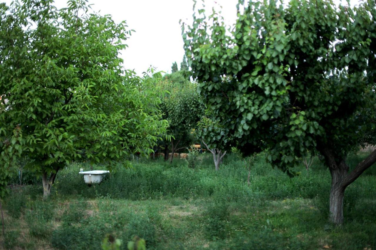 Noosh Guesthouse Ashnak Εξωτερικό φωτογραφία